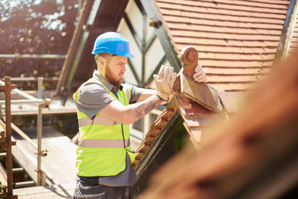 Best Roof Leak Repair  in Fern Prairie, WA